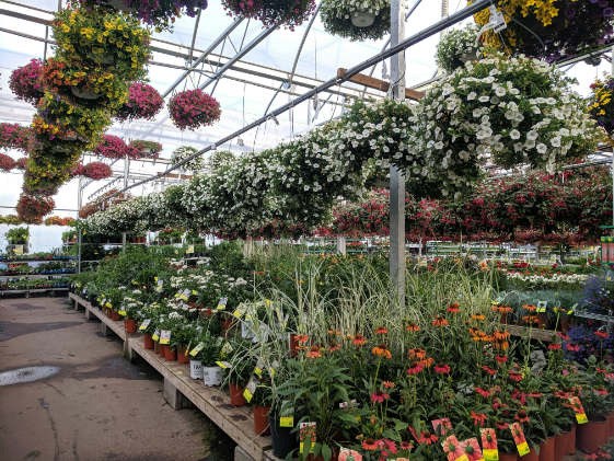 Petal Shack